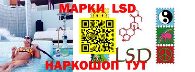 прущие грибы Абакан