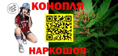 прущие грибы Абакан