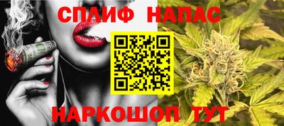 прущие грибы Абакан