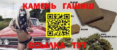 прущие грибы Абакан