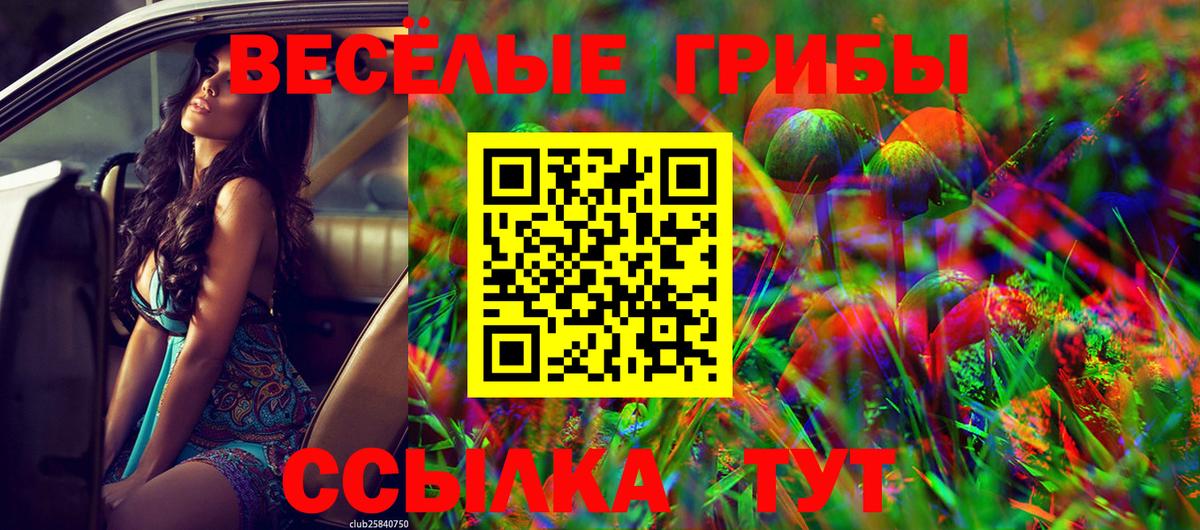 Алушта  Псилоцибиновые грибы MAGIC MUSHROOMS  Вход с VPN 