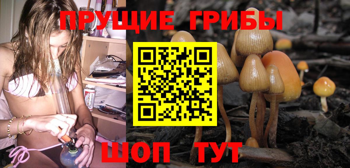 Псилоцибиновые грибы прущие грибы Алушта